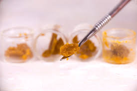 WAX 1 GRAM
