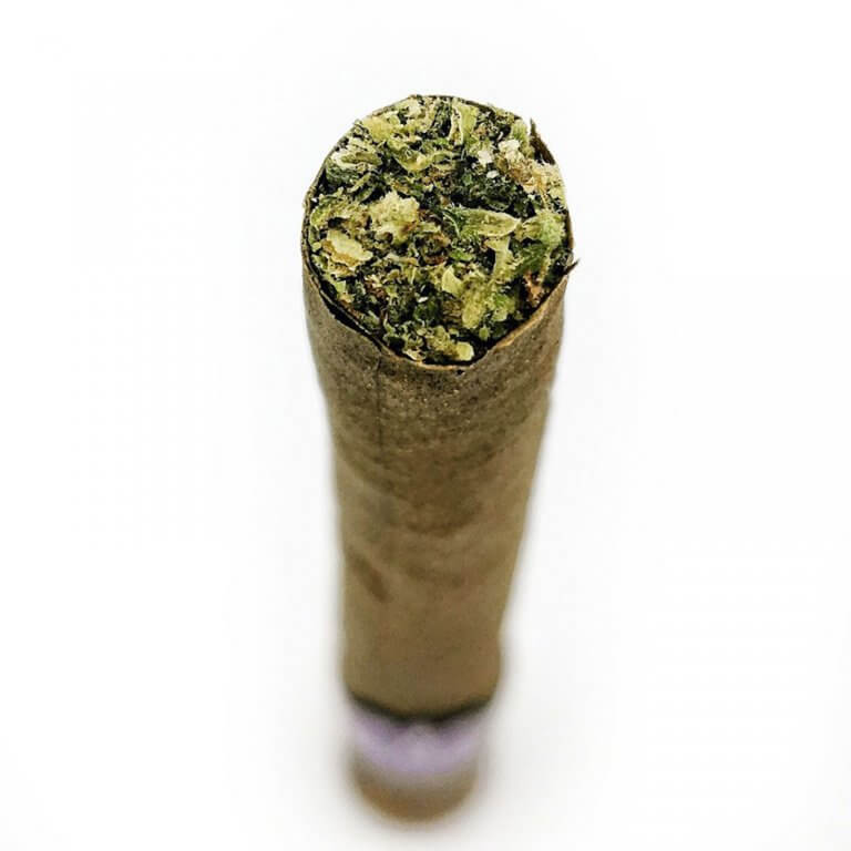 CANNAGAR 